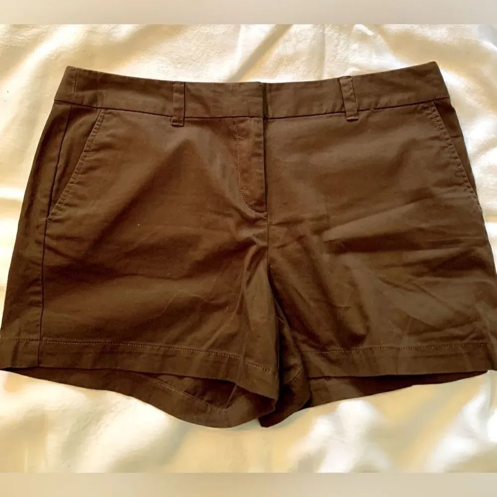 Loft shorts